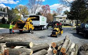 Best Seasonal Cleanup (Spring/Fall)  in Vincent, CA